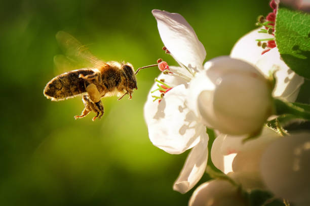 istockphoto-1033327956-612x612