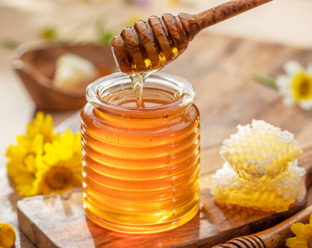 istockphoto-2161304146-612x612 (2)